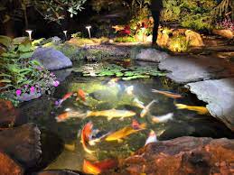 Underwater Pond Lighting Pond Lights Ponds Backyard Backyard Water Feature