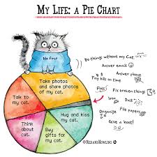 My Life A Pie Chart Cat Edition Red And Howling
