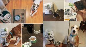 New Product Review Open Nature Grain Free Pet Food Dallas Pets Alive