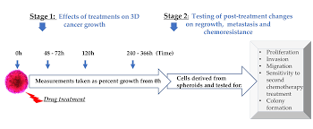 Biomolecules Free Full Text Epigenetic Therapy Augments Classic Chemotherapy In Suppressing The Growth Of 3d High Grade Serous Ovarian Cancer Spheroids Over An Extended Period Of Time Html