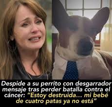 Gaby Spanic está de luto!: Despide a su perrito con desgarrador mensaje  tras perder batalla contra el cáncer: “Estoy destruida… mi bebé de cuatro  patas ya no está” 🕊️🐶 💔🐾 La actriz