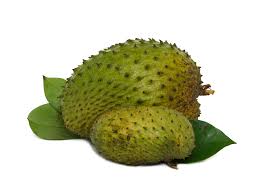 Tanaman sudah mulai berproduksi pertama. Testimoni Mamaeinz Durian Belanda