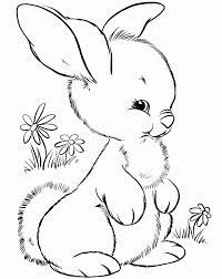 Download and print out this girl with bunny toy coloring page. Bunny With Carrot Coloring Page Coloring Home