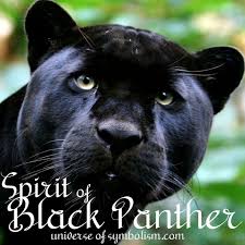 Black Panther Spirit Animal Meaning And Symbolism Black Panther Is The Dominant Hunter Of The South A Spirit Animal Meaning Animal Meanings Panther Symbolism