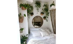 However, every plant mom (or dad) . 10 Plants You Should Keep In Bedroom And Why