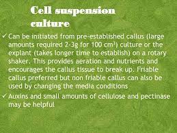After the cells of interest have been isolated from living tissue. Cell Suspension Culture Ppt Download