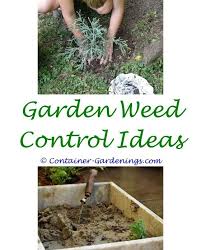 Olive Garden Tablet Makes You Tip Tips On Gardening Tomatoes Vegetable Garden Ideas With Pal Container Gardening Container Gardening Vegetables Tomato Garden