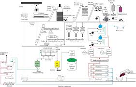Palm oil production is an effective oligopoly, dominated by two countries: Palm Oil And Its Wastes As Bioenergy Sources A Comprehensive Review Springerlink