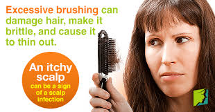 An itchy scalp is the most common symptom of head lice. Itchy Scalp And Hair Loss Menopause Now