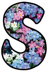 Buchstabe Letter S Harfler Mezuniyet