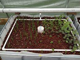 2 Factors That Determine Aquaponics Fish Tank Size On Aquaponics