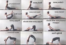 Back Flexibility Stretches Fitness Ovelser Straekovelser Yogastillinger