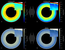 His name is roy g. Geodynamics The Rainbow Colour Map Repeatedly Considered Harmful