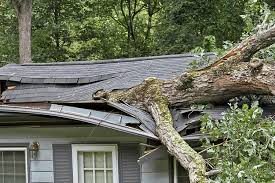 Kitchen window is located in minneapolis. How To Handle Roof And Storm Damage To Your Maple Grove Mn Home