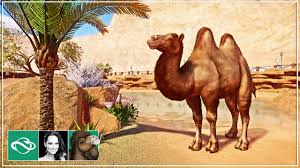 Planet earth specials episode 5. New Franchise In The Desert Bactrian Camel Habitat Franchise Mode Planet Zoo Ep 1 Youtube
