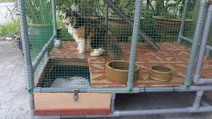 Cerita yang berbeza memberi tumpuan kepada orang yang berbeza yang telah melalui situasi yang berbeza dalam hidup mereka, menjadikan cerita ini lebih menarik! Rumah Kucing Cat House Jenis Besar Sangkar Kucing Klang Facebook
