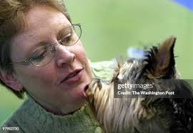 1,014 N Jill Stock Photos, High-Res Pictures, and Images