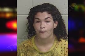 Jasmine Crowe — Wayne County Jail Bookings