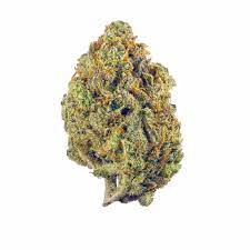The plant boasts green buds that have many orange hairs. Super Lemon Haze Aka Slh Marijuana Strain Information Leafly