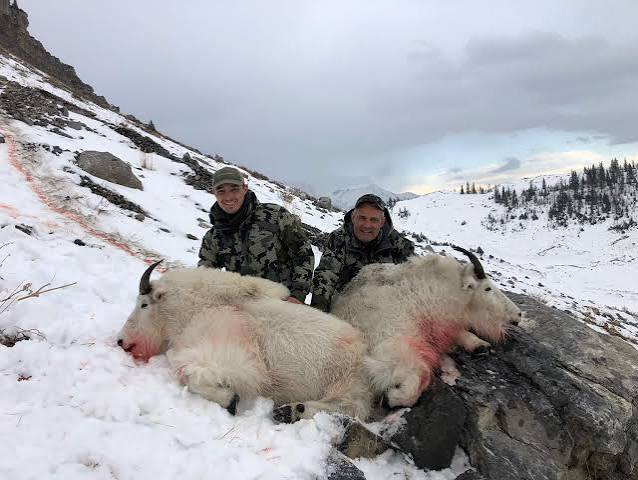 Trophy BC Mountain Goats In the Kootenays - Worldwide Trophy Adventures