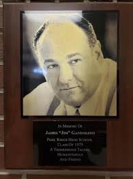 Going through old family items and came across this 1996 plaque for  previous Bandys High School student Chris Eugene Mauser and thought I'd  share for others in case they know the other