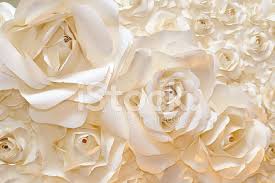 Looking for the best wallpapers? Beautiful White Rose Background Stock Photos Freeimages Com