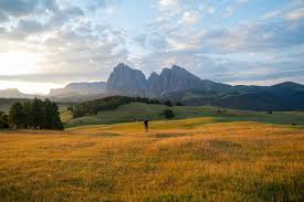 Transient Labs Spotlight #1: Ben Skaar