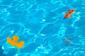 News In Austin San Antonio Tx Blue Haven Pools