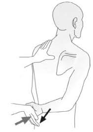 Image result for Lift-Off Subscapularis Test