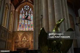 3,250 John Bombay Stock Photos, High ...