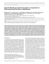 Which animal cell junction is analogous to a plasmodesmata. Pdf Specific Membrane Lipid Composition Is Important For Plasmodesmata Function In Arabidopsis