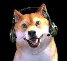  49 Ide About Obit Di 2021 Anjing Lucu Hewan