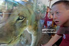 65 Don Fontana Stock Photos, High-Res Pictures, and Images