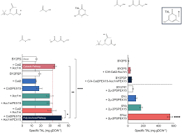 Enhanced production of acetyl-CoA-based products via peroxisomal surface  display in <italic toggle='yes'>Saccharom