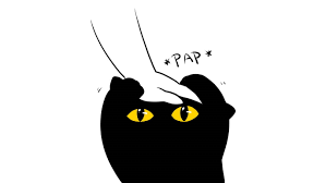 Cat Pap Know Your Meme