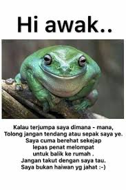 Imbuhan tersebut diikuti dengan kata kerja yang menggambarkan proses, perbuatan, atau keadaan. Pin By Blackflagmetal On Itinta Funny Animals Animals Bugs Animals