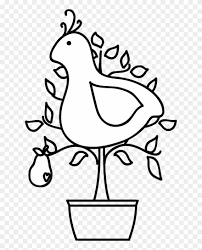 We all pick a different number and sing that verse just us and then join in together to sing and a partridge in a pear tree. Partridge In Pear Tree Clipart 3166506 Pinclipart