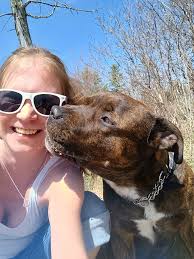 JAX HAS BEEN FOUND ! Thank you to everyone helping to find Jax . So  appreciate sharing my post , searching the area, drones, neighbors allowing  us to walk their fields, and