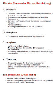 Pdf File Zum Ausdrucken In 2020 Biologie Unterrichten Lernen Tipps Schule Medizin Studieren