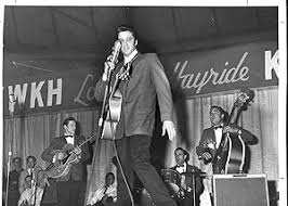 Elvis Presley: A Southern Life: Williamson, Joel: 9780199863174:  Amazon.com: Books