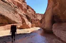 Buckskin gulch is, actually, a tributary to the wider paria canyon, where the paria river carves its way towards the famed colorado river. Backpacking Paria Canyon Maps Trailheads Itinerary More
