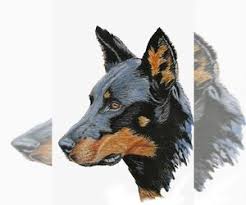 Beauceron puppies for sale was last modified: Beauceron Verified Dog Breeders In Usa Page 1 10 Per Page Puppyfinder Com