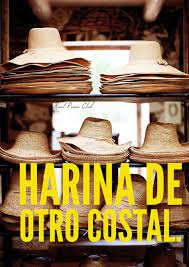 Harina De Otro Costal Realpavaclub Panama Hat Floppy Hat Hats