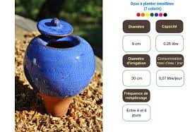 Les Oyas Sont Des Pots En Argile Que L On Enterre Dans Les Sol Pres Des Plantes Et Que L On Rempli D Eau Plante Irrigation Pot De Fleurs