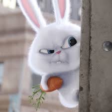 Tinggal kamu klik gambar mewarnai terus tinggal cari deh gambar yang temen temen mau. 26 Ide Kelinci Gemoy Gambar Kelinci Kelinci Kartun