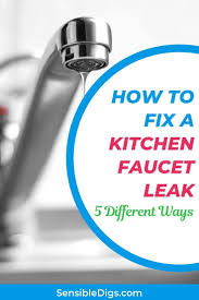 how to fix a kitchen faucet leak (5