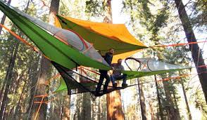 Rather than traditional ground sleeping, the tree tent enables you and one other person to sleep in the trees for an experience that is truly one with nature. Tentsile Hanging 3 Person Tree Tent Designs Ideas On Dornob