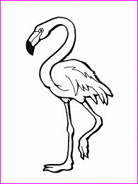 Dibujos De Flamencos Para Colorear