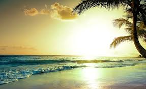 Maybe you would like to learn more about one of these? Hd Wallpaper 5k Tropical Beach 4k Sunset Paradise Wallpaper Flare