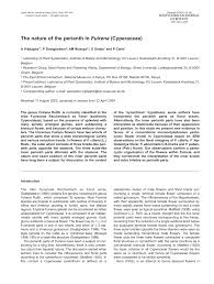 Image result for Fuirena leptostachya